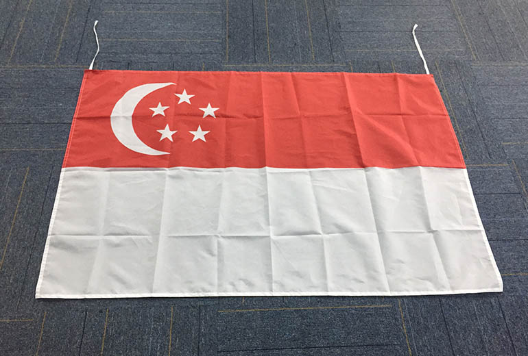 Gahumi Case-Singapore Flag-05.jpg